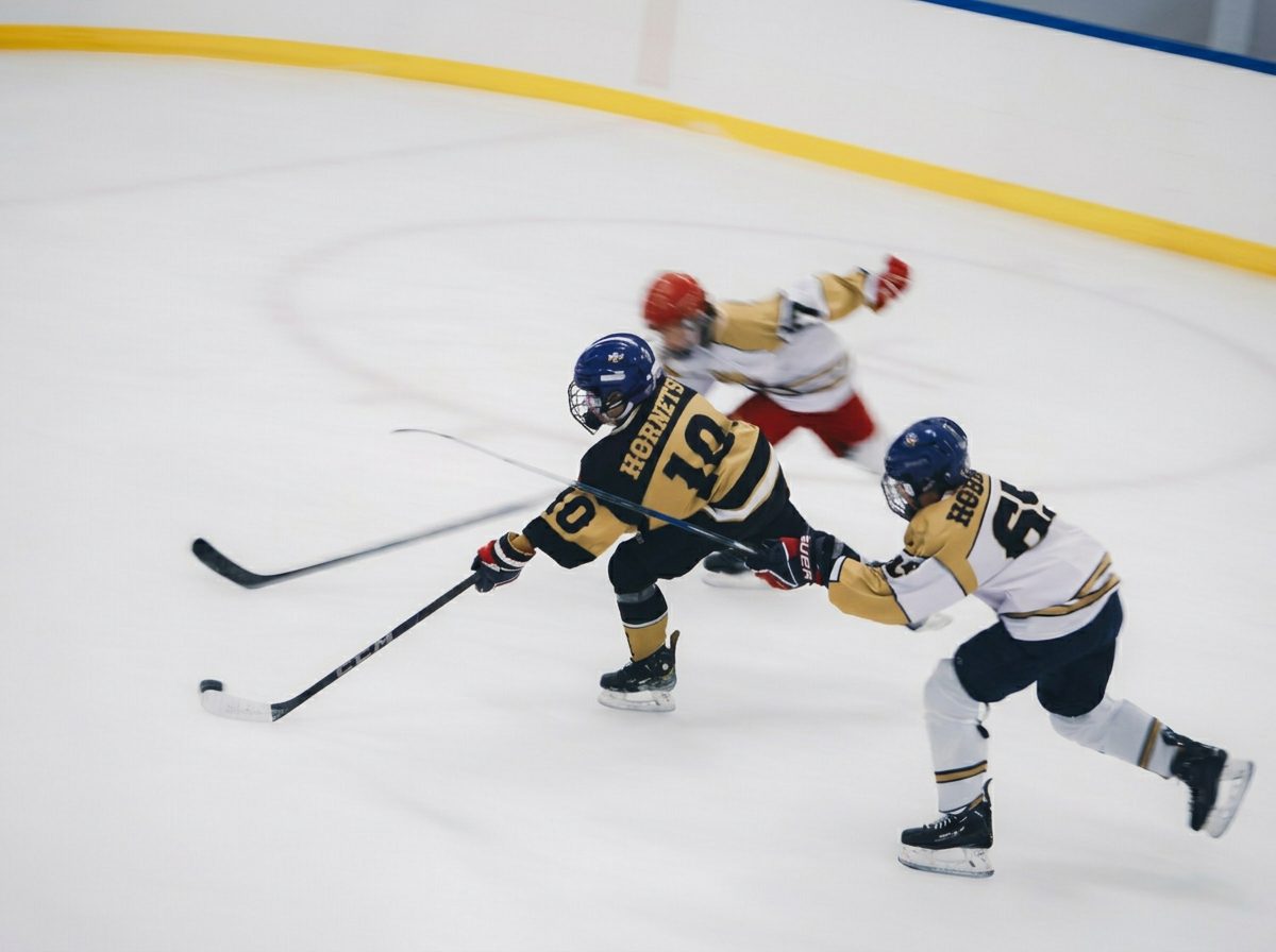 East Coast Hockey Factory – Sport på Aktivitetsfabriken Hudiksvall
