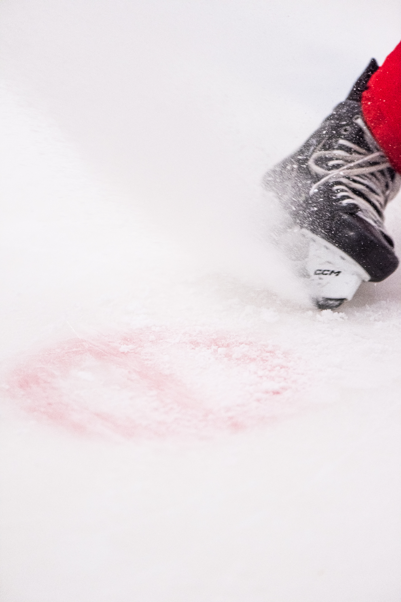 Nybyggd ishall med professionell isyta